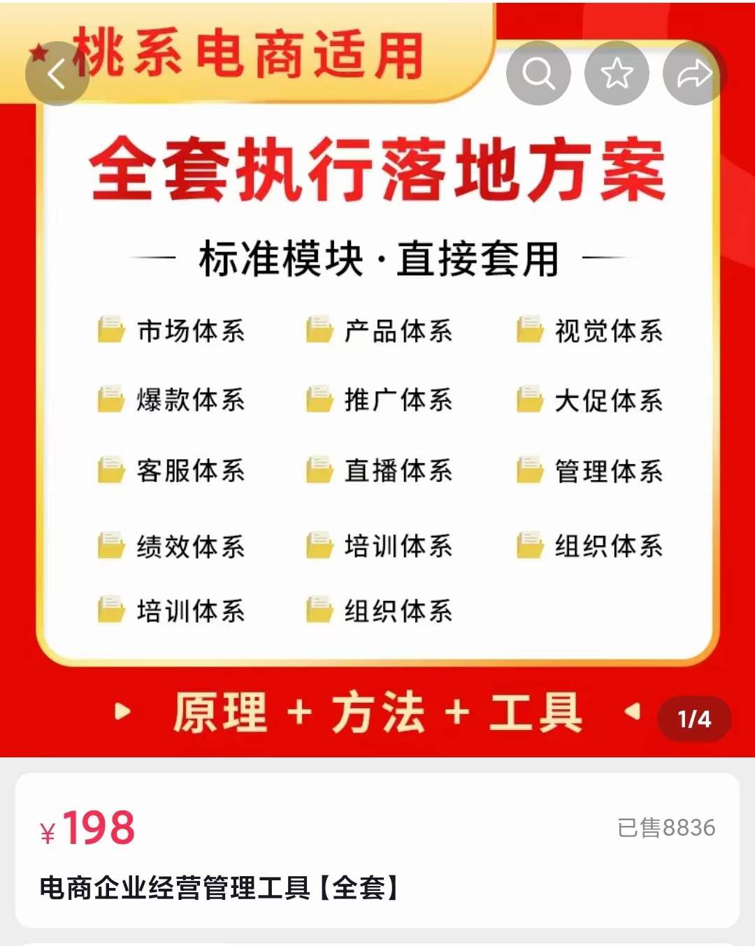 外面卖198・电商企业经营管理工具：全套执行落地方案 标准模块・直接套用