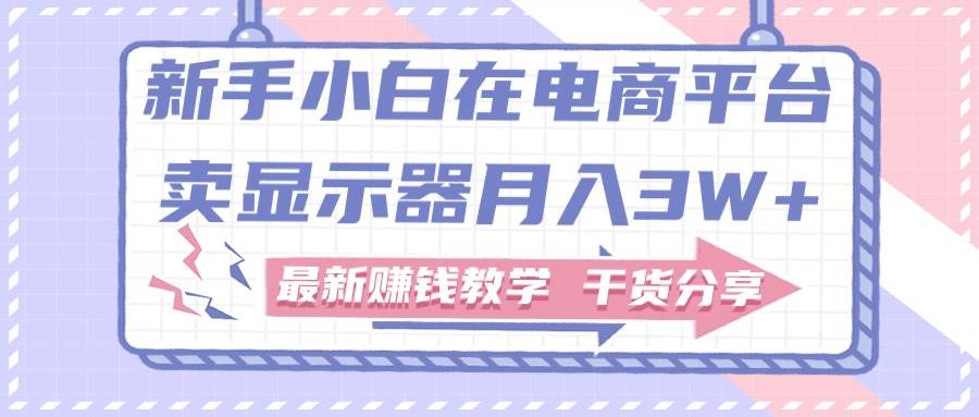 新手小白如何做到在电商平台卖显示器一个月3W+，最新赚钱教学干货分享